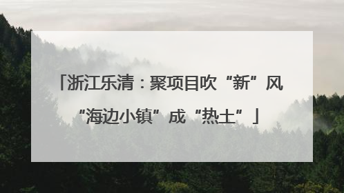 浙江乐清：聚项目吹“新”风 “海边小镇”成“热土”