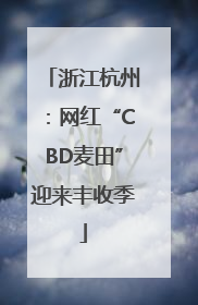 浙江杭州：网红“CBD麦田”迎来丰收季