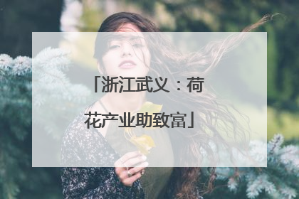 浙江武义：荷花产业助致富