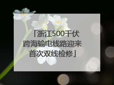 浙江500千伏跨海输电线路迎来首次双线检修