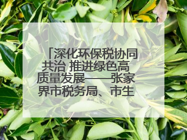 深化环保税协同共治 推进绿色高质量发展——张家界市税务局、市生态环境局签署合作备忘录