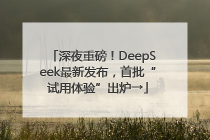 深夜重磅！DeepSeek最新发布，首批“试用体验”出炉→