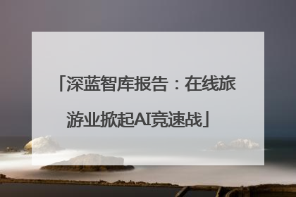 深蓝智库报告：在线旅游业掀起AI竞速战