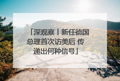 深观察丨新任德国总理首次访美后 传递出何种信号