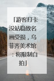游客打卡没站稳致名画受损，乌菲齐美术馆：将限制自拍
