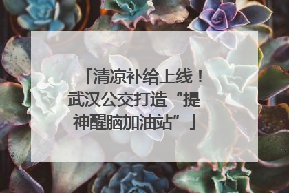 清凉补给上线！武汉公交打造“提神醒脑加油站”