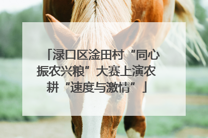 渌口区淦田村“同心振农兴粮”大赛上演农耕“速度与激情”