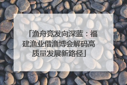 渔舟竞发向深蓝：福建渔业借渔博会解码高质量发展新路径