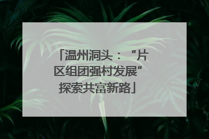 温州洞头：“片区组团强村发展”探索共富新路