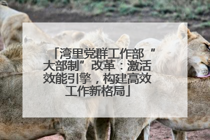 湾里党群工作部“大部制”改革：激活效能引擎，构建高效工作新格局