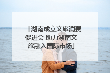 湖南成立文旅消费促进会 助力湖南文旅融入国际市场