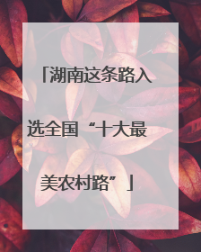 湖南这条路入选全国“十大最美农村路”