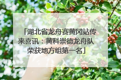 湖北省龙舟赛黄冈站传来喜讯：黄科崇德龙舟队荣获地方组第一名