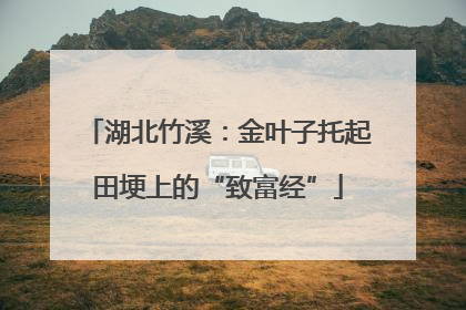 湖北竹溪：金叶子托起田埂上的“致富经”