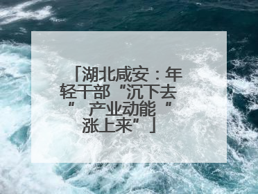 湖北咸安：年轻干部“沉下去” 产业动能“涨上来”