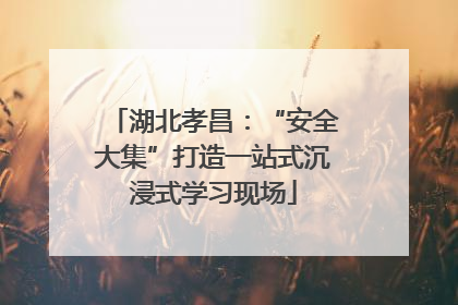 湖北孝昌：“安全大集”打造一站式沉浸式学习现场