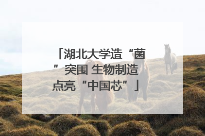 湖北大学造“菌”突围 生物制造点亮“中国芯”