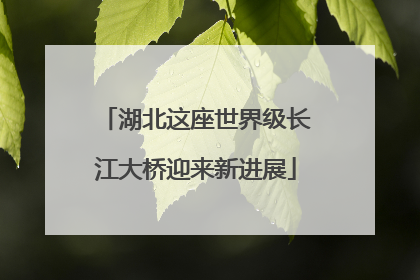 湖北这座世界级长江大桥迎来新进展