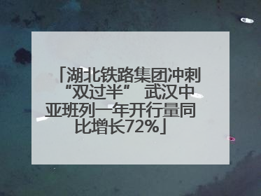 湖北铁路集团冲刺“双过半” 武汉中亚班列一年开行量同比增长72%