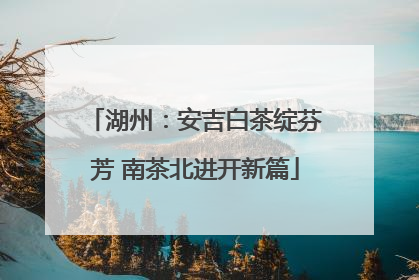 湖州：安吉白茶绽芬芳 南茶北进开新篇