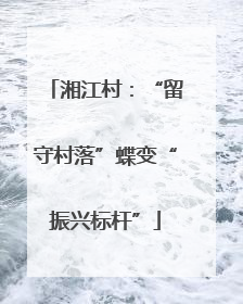 湘江村：“留守村落”蝶变“振兴标杆”