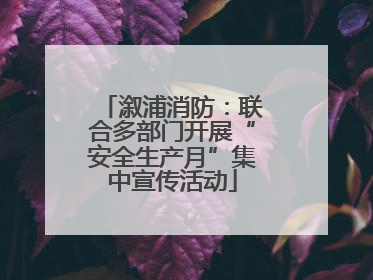 溆浦消防：联合多部门开展“安全生产月”集中宣传活动