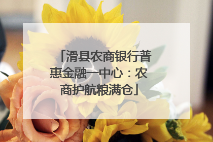 滑县农商银行普惠金融一中心：农商护航粮满仓