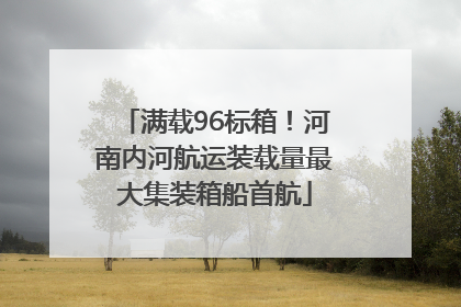 满载96标箱！河南内河航运装载量最大集装箱船首航
