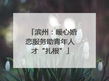 滨州：暖心婚恋服务助青年人才“扎根”