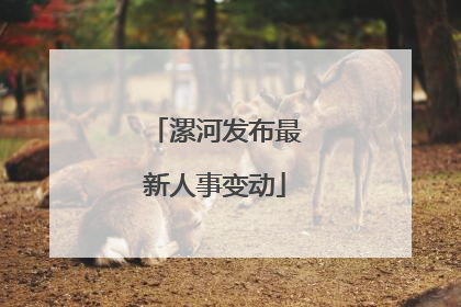 漯河发布最新人事变动