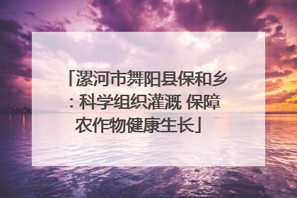 漯河市舞阳县保和乡：科学组织灌溉 保障农作物健康生长