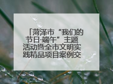 菏泽市“我们的节日·端午”主题活动暨全市文明实践精品项目案例交流活动举办