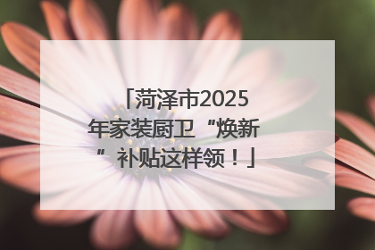 菏泽市2025年家装厨卫“焕新”补贴这样领！