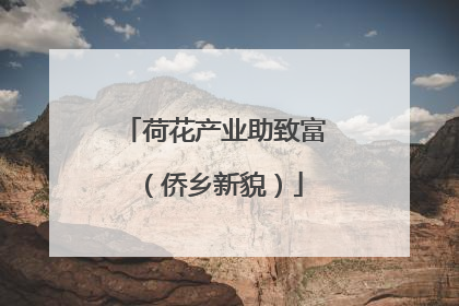 荷花产业助致富（侨乡新貌）
