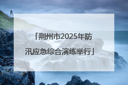 荆州市2025年防汛应急综合演练举行