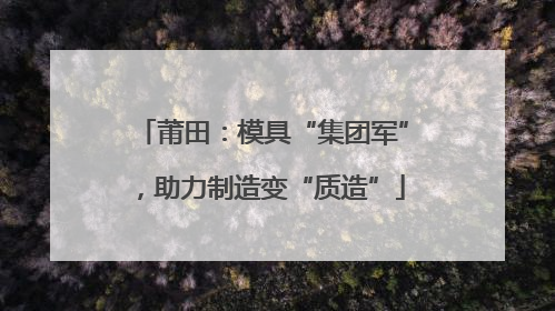 莆田：模具“集团军”，助力制造变“质造”