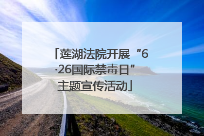 莲湖法院开展“6·26国际禁毒日”主题宣传活动
