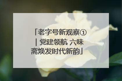 老字号新观察①｜党建领航 六味斋焕发时代新韵