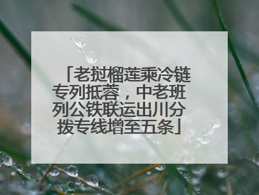 老挝榴莲乘冷链专列抵蓉，中老班列公铁联运出川分拨专线增至五条