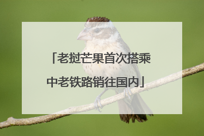 老挝芒果首次搭乘中老铁路销往国内