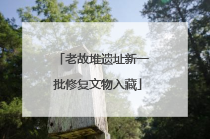 老故堆遗址新一批修复文物入藏