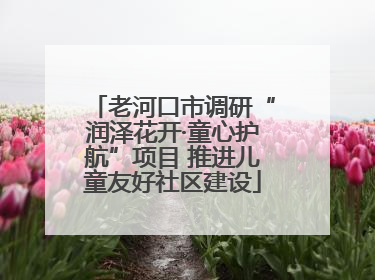 老河口市调研“润泽花开·童心护航”项目 推进儿童友好社区建设
