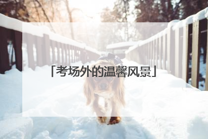 考场外的温馨风景