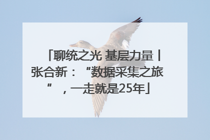 聊统之光 基层力量丨张合新：“数据采集之旅”，一走就是25年