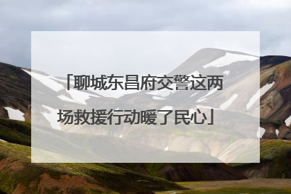 聊城东昌府交警这两场救援行动暖了民心