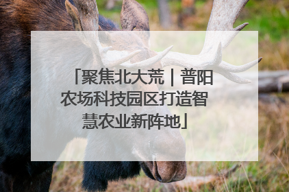 聚焦北大荒｜普阳农场科技园区打造智慧农业新阵地