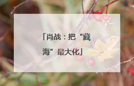 肖战：把“藏海”最大化