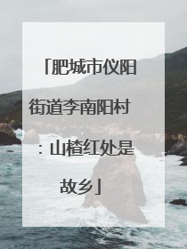 肥城市仪阳街道李南阳村：山楂红处是故乡