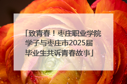 致青春！枣庄职业学院学子与枣庄市2025届毕业生共诉青春故事
