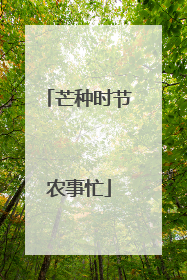 芒种时节农事忙